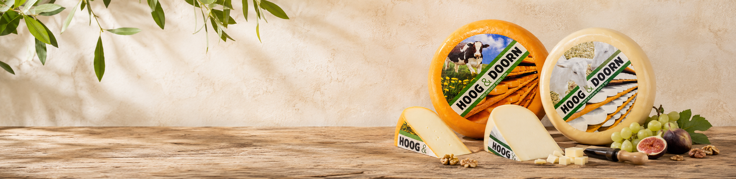 Junger Käse Junger Käse