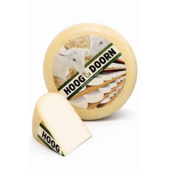 Mittelalter holländischer Ziegenkäse | Ganzer Käse