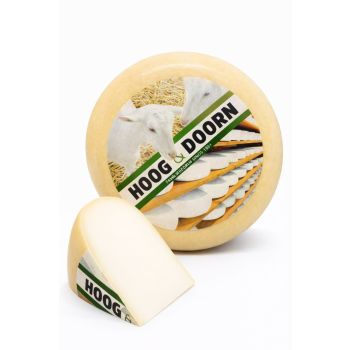 Junger holländischer Ziegenkäse