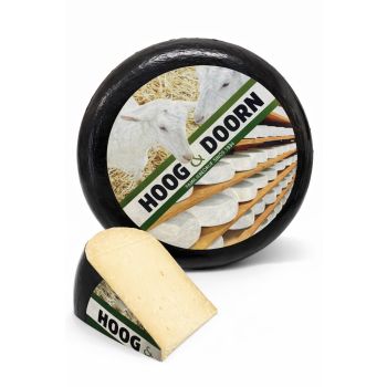 Alter holländischer Ziegenkäse | Ganzer Laib