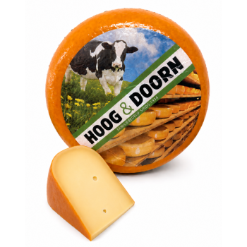Hele Goudse kaas belegen
