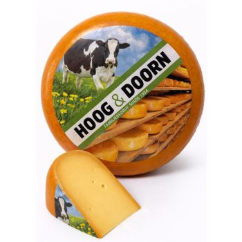 Oude Noord-Hollandse