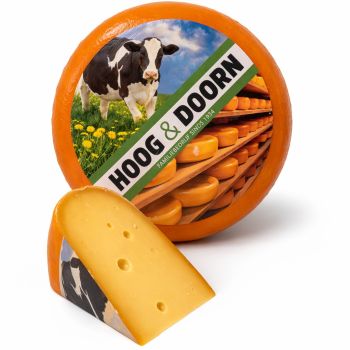 Würziger Nordholland Käse