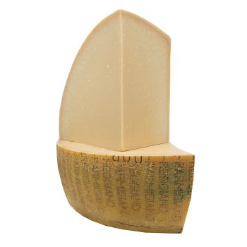 Parmesan Reggiano