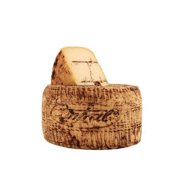 Pecorino met truffel