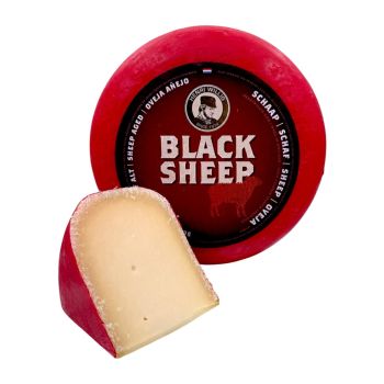 Oude schapenkaas