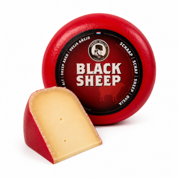 Schapenkaas oud