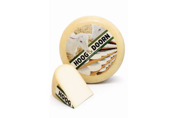 Mittelalter holländischer Ziegenkäse | Ganzer Käse