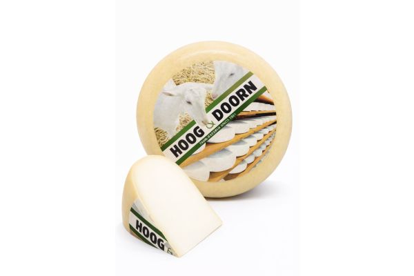 Junger holländischer Ziegenkäse | Ganzer Laib