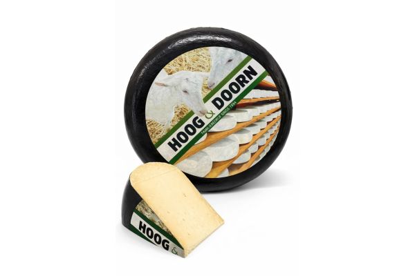 Alter holländischer Ziegenkäse