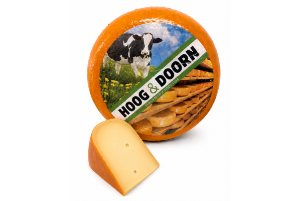 Hele Goudse kaas belegen