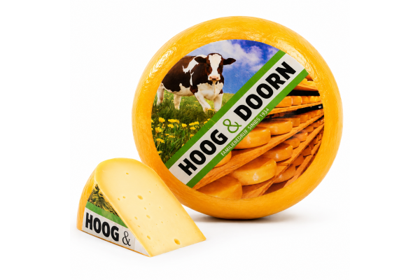 Goudse jong belegen