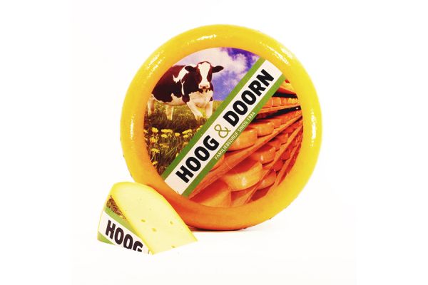 Goudse kaas jong belegen