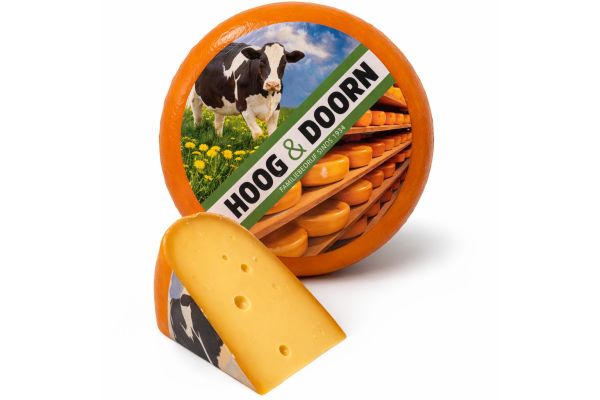 Würziger Nordholland Käse