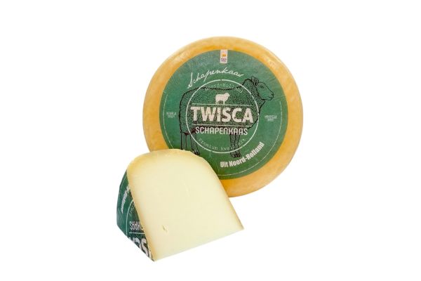 Mittelalter Schafskäse