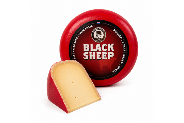 Schapenkaas oud
