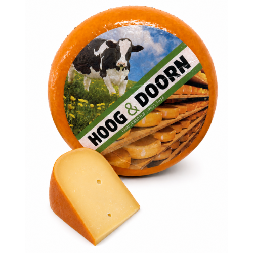 goudse extra belegen