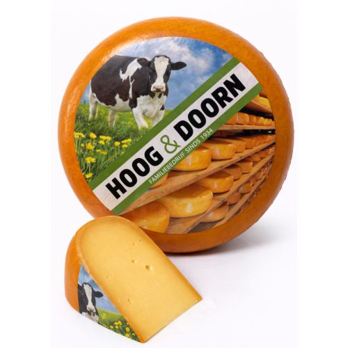 Alter Nordholland Käse | Ganzer Laib