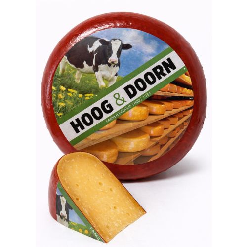 Mehrjähriger Nordholland Käse