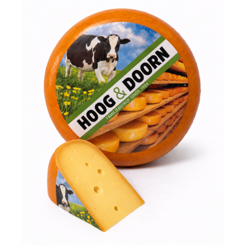 Pittige noord-holland