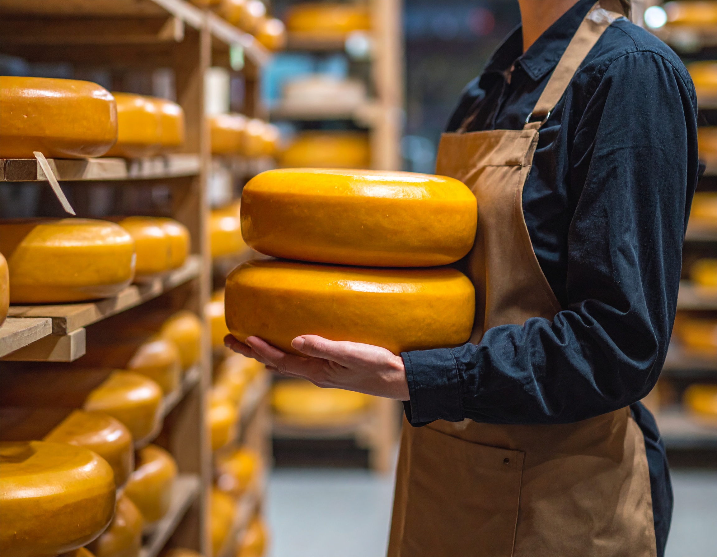 Gouda-Käse: Niederländischer Stolz in jedem Bissen Gouda-Käse: Niederländischer Stolz in jedem Bissen